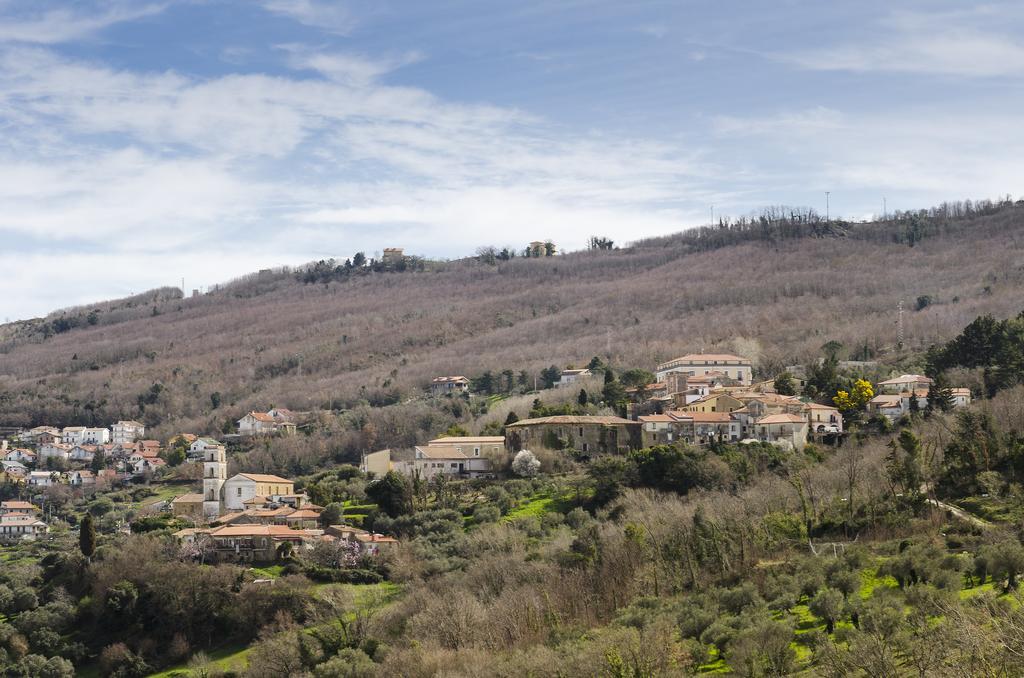 Bed and Breakfast Al Casale Dei Nonni Laureana Cilento Zewnętrze zdjęcie